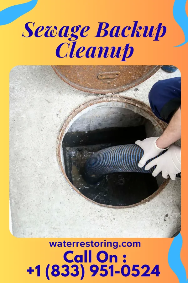 Sewage Backup Cleanup in Highlandville, MO