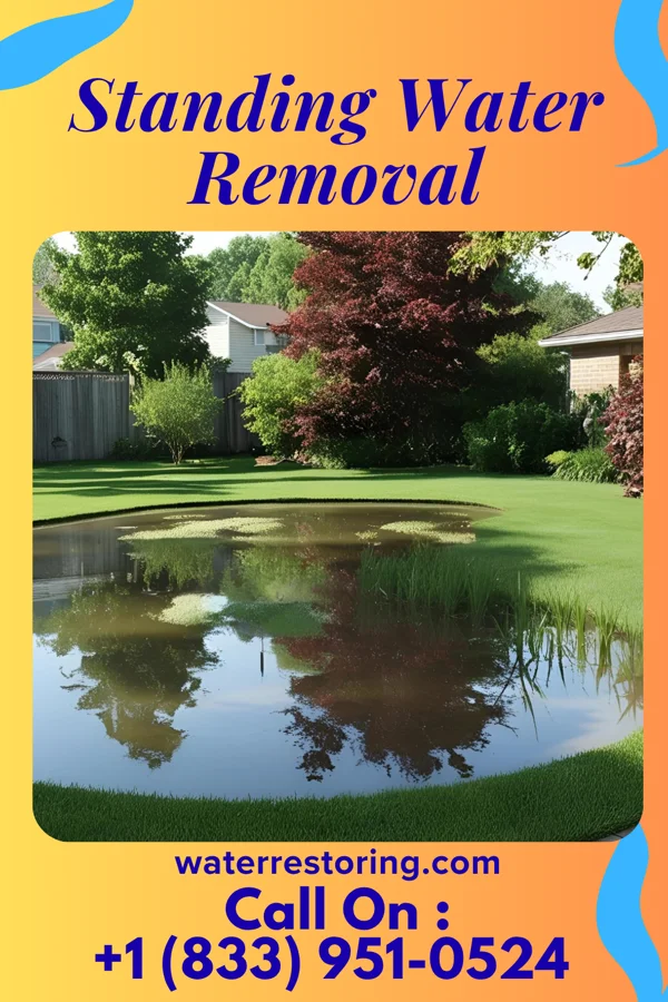 Standing Water Removal in Highlandville, MO